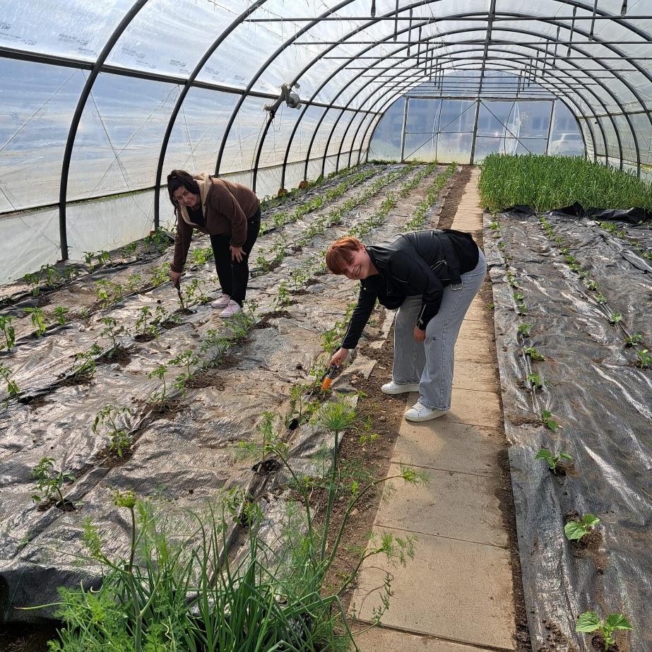 Stagiu de pregatire practică – domeniul Agricultură, învațamânt postliceal, 2025-2026